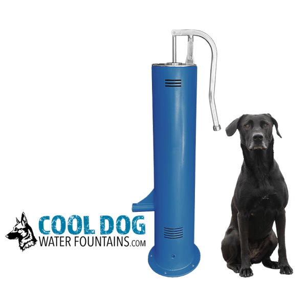 DL 1000 DD SLV Blu update2