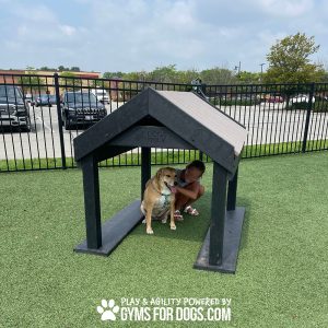 Home Run Tunnel House