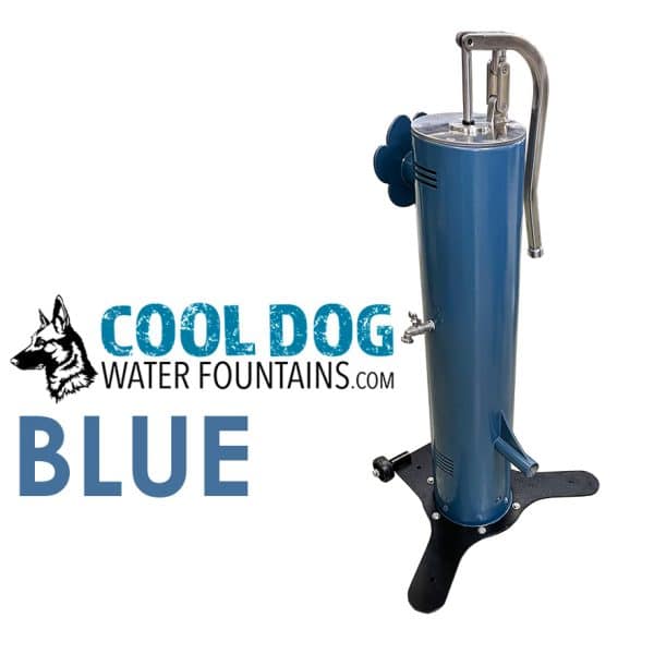 DL 1000 DD DWC SLV BLU 6