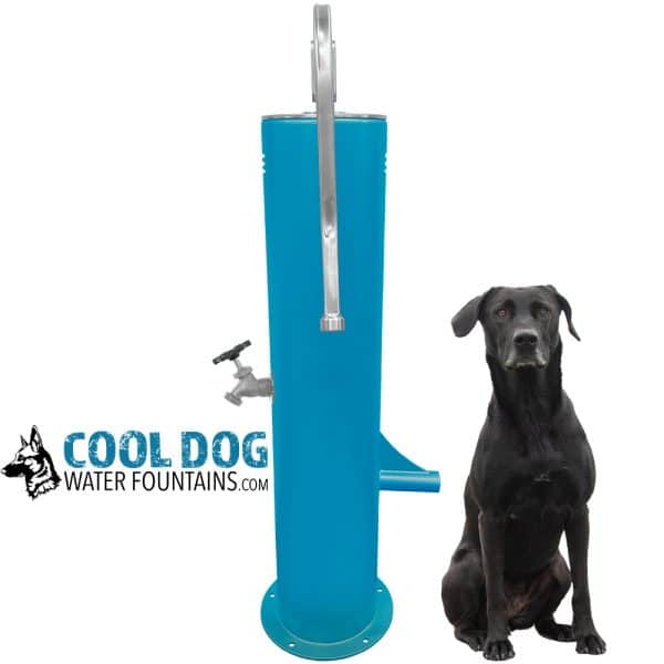 DL 1000 DD DWC SLV BLU MAG