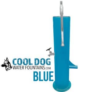 DL 1000 DD DWC SLV BLUE SWATCH