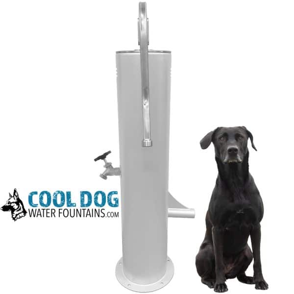 DL 1000 DD DWC SLV SLV MAG