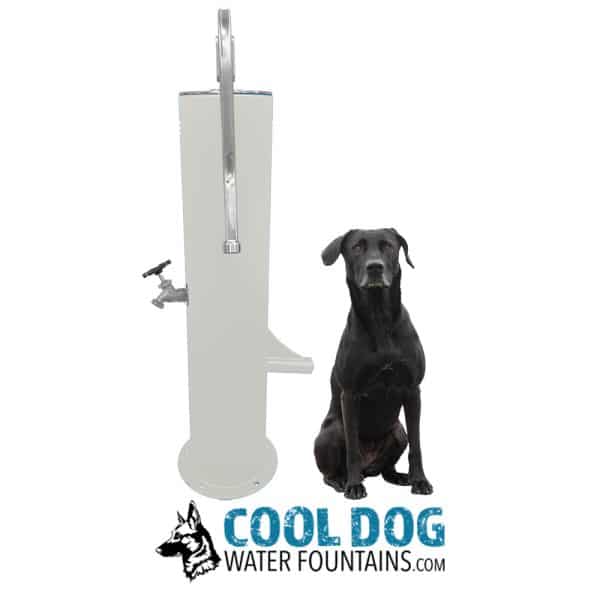 DL 1000 DD DWC SLV bone white maggie