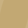 DL CLR CUSTOM SLV Spice Mustard