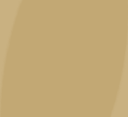 DL CLR CUSTOM SLV Spice Mustard