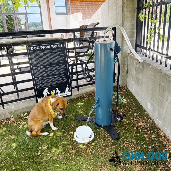 DL 1000 DD DWC SLV BLU IronworksRizzo Bowl4