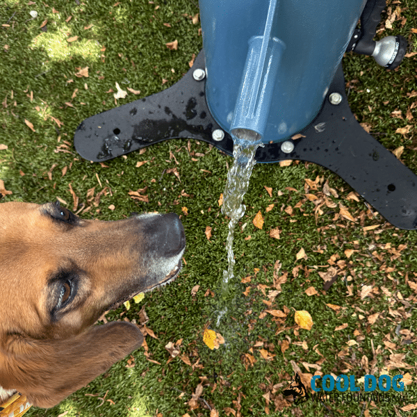 DL 1000 DD DWC SLV BLU IronworksRizzo closeup