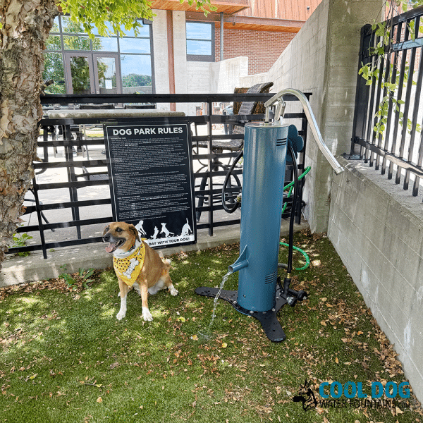 DL 1000 DD DWC SLV BLU IronworksRizzo2