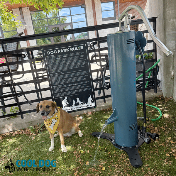 DL 1000 DD DWC SLV BLU IronworksRizzo3