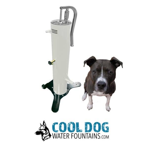 DL 1000 DD DWC SLV BONEWHITE OLLIE