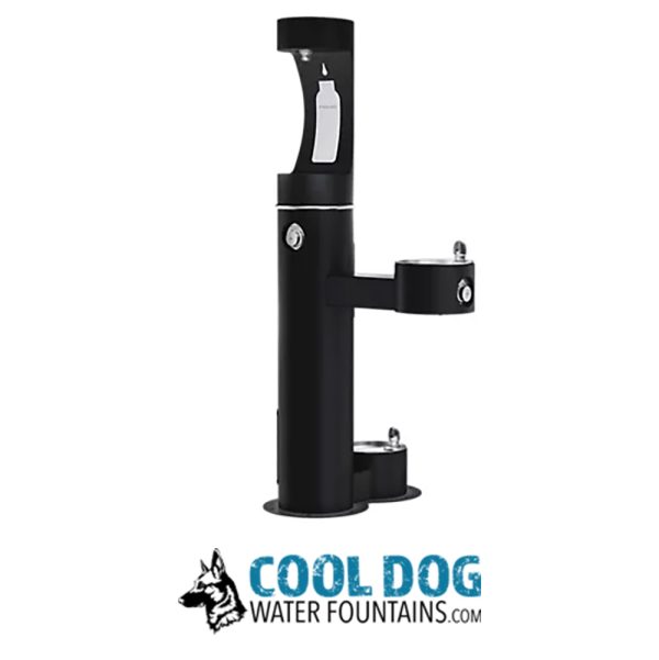 DL 2000 BF STE BLK 2