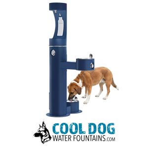 DL 2000 BF STE BLUE 3