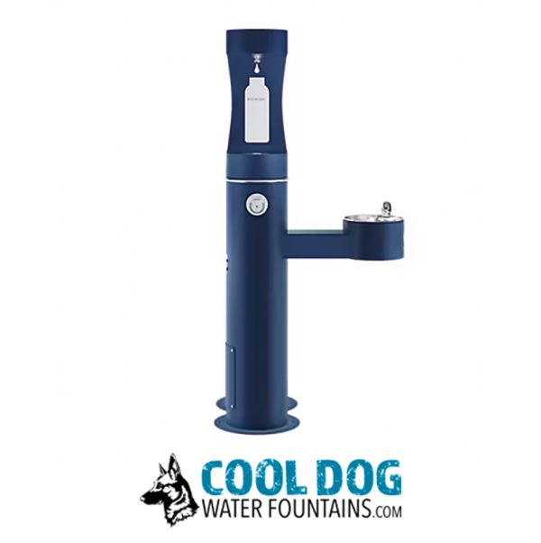 DL 2000 BF STE BLUE 4