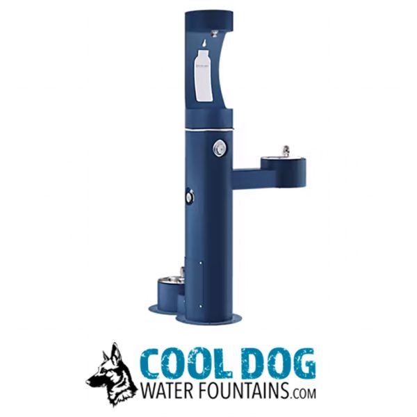 DL 2000 BF STE BLUE 5