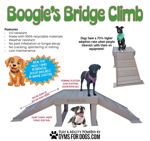 Boogie'sBC web