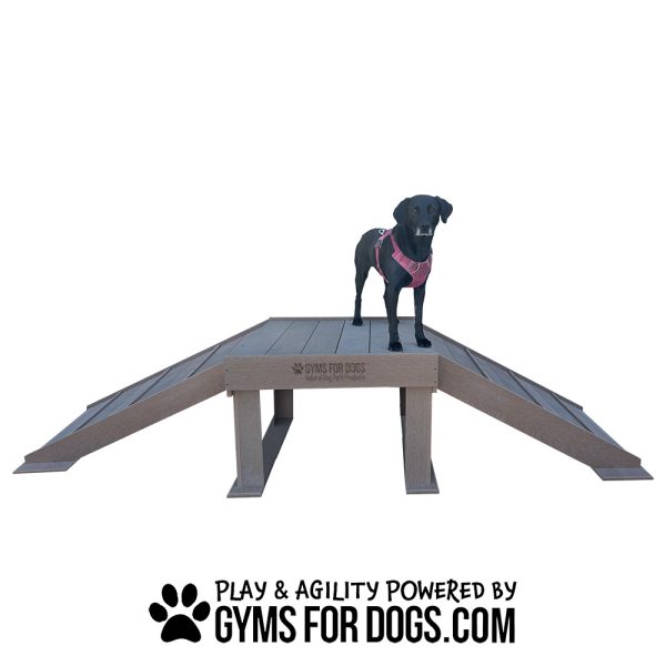 BoogiesBridgeClimb Home GymsForDogs