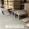 Gyms for dogs Boogie'sInteractivePlay collection warehouse image nutmegfinish