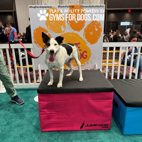ACE GymsForDogs TrainingBoxes