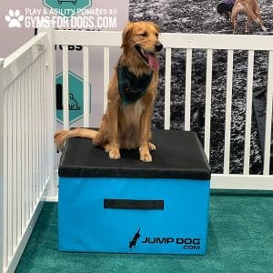 ACE GymsForDogs TrainingBoxes 3