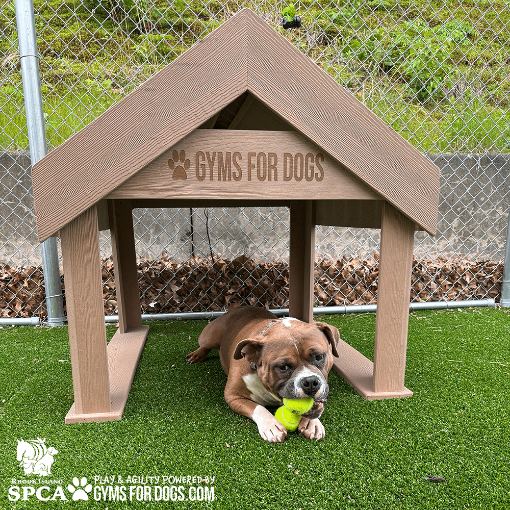 TunnelHouse-InteractivePlaySeries GymsForDogs ShelterStrong RISPCA