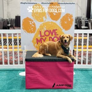 TrainingBoxes HomePage dog ACE2