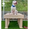 TrainingPlatform InteractivePlaySeries GymsForDogs ShelterStrong RISPCA2