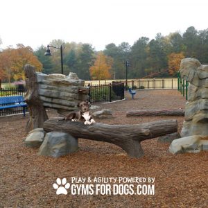 Animal Agility Series - Agility Balance Log