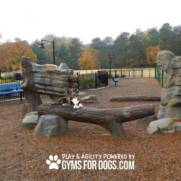 Animal Agility Series - Agility Balance Log