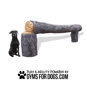 Interactive Animal Series - Agility Balance Log