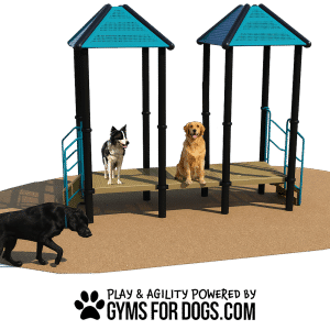 ChatGPT Cafe24 withdogs wm