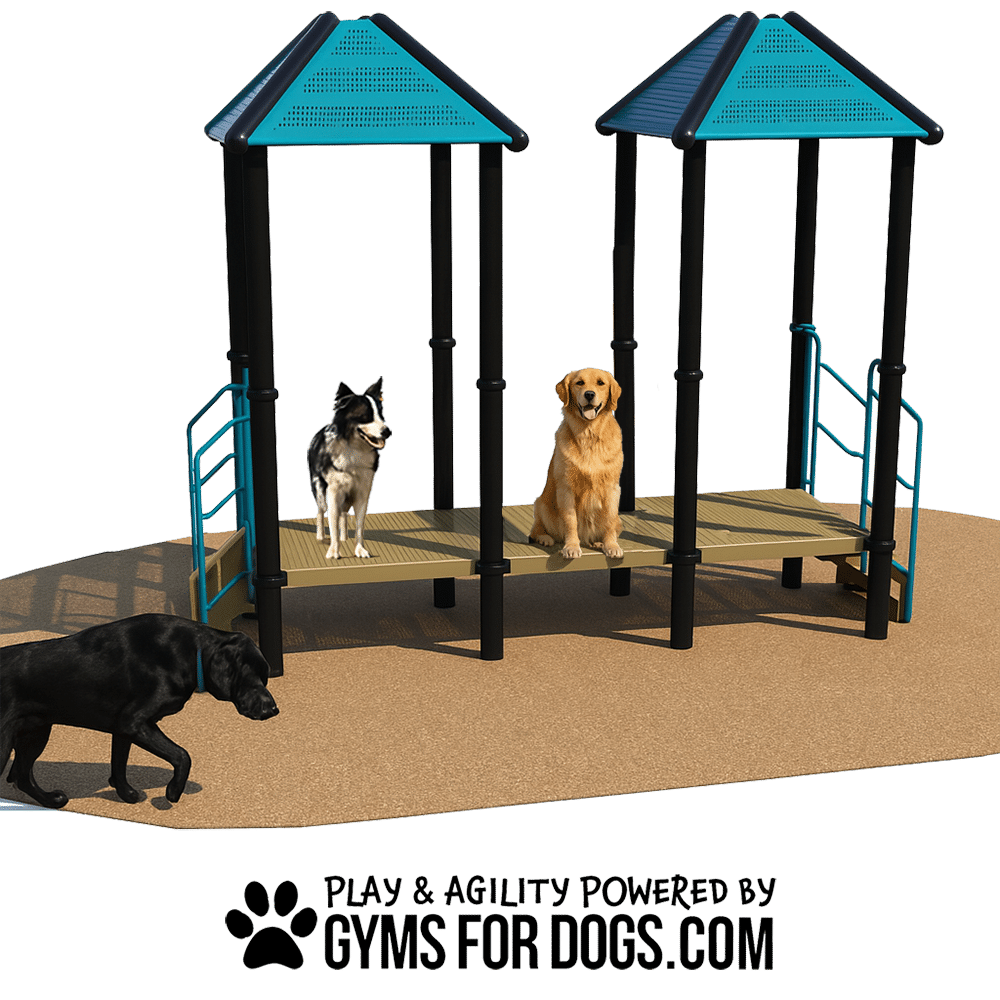 Agility Equipment Dogs Dog Agility Equipment Café 24 – Social