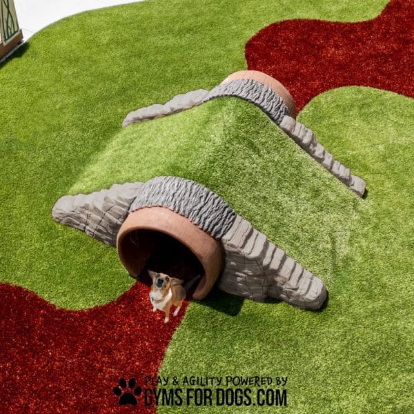 GFD TunnelClimb BirdsEye Rizzo wm