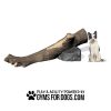 Interactive Animal Series - Incline Log Climb