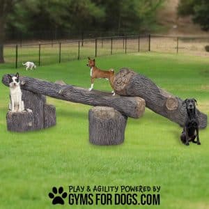 GymsForDogs InteractivePackLogs4422