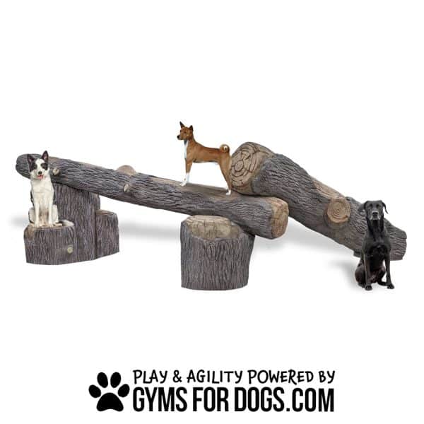 GymsForDogs InteractivePackLogsghjufhjmfh