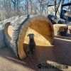 Interactive Animal Series - Log Tunnel Climb
