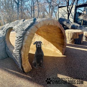 Interactive Animal Series - Log Tunnel Climb