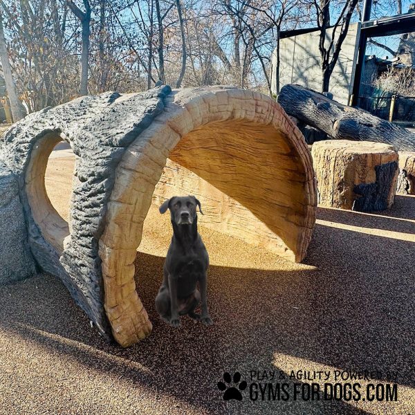 Interactive Animal Series - Log Tunnel Climb