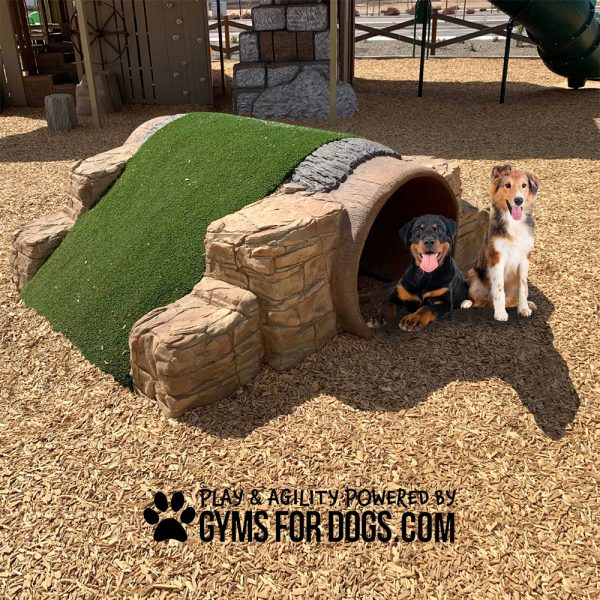HillbillyClimb GymsForDogs