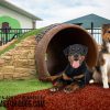 HillbillyTunnelClimb GymsForDogs Page 2