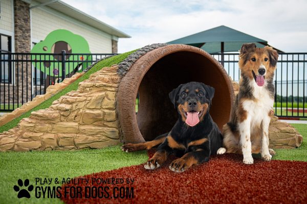 HillbillyTunnelClimb GymsForDogs Page 2