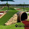 HillbillyTunnelClimb GymsForDogs Page c