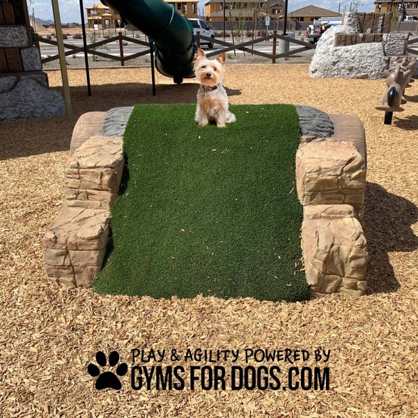 HillbillyTunnelClimb IGymsForDogs Page 4