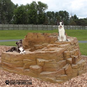 RockyMountainClimb Install GymsForDogsHOME