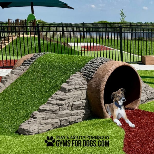 RockyTunnelClimb updatedColor wm2