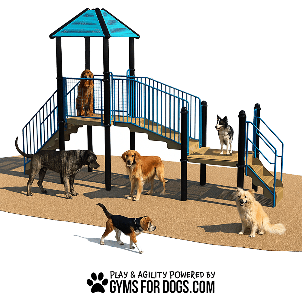 Agility Equipment Dogs Dog Agility Equipment Safari Rumble