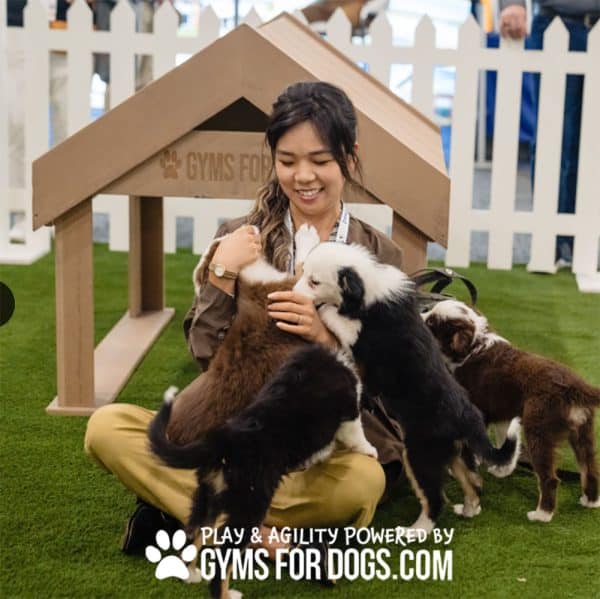 BoogiesTunnelHouse BostonAIA2025