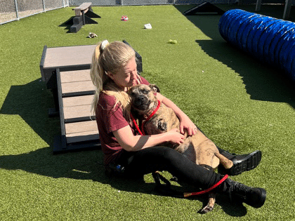 HumaneSocietyHamilton ShelterStrong1