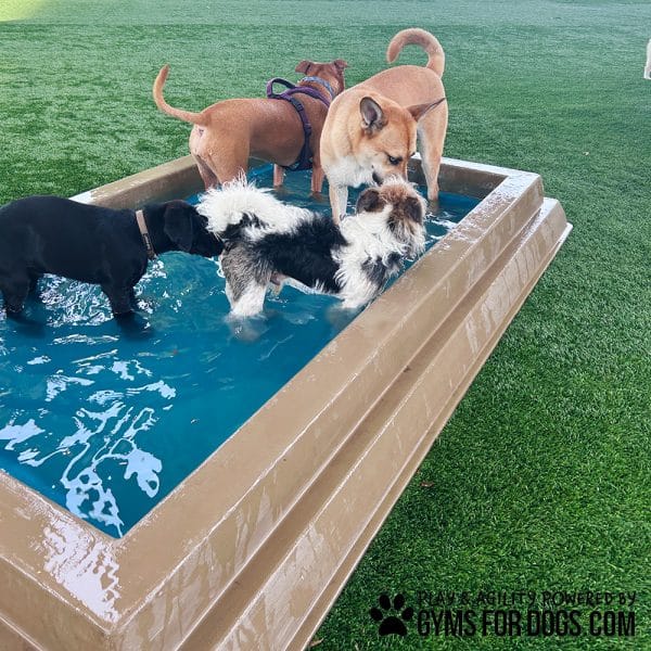 CoolDogSplashPool AlltheDogs2 - Dog Park Outfitters CoolDogSplashPool AlltheDogs2