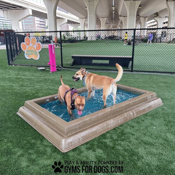 CoolDogSplashPool AlltheDogs4 - Dog Park Outfitters CoolDogSplashPool AlltheDogs4